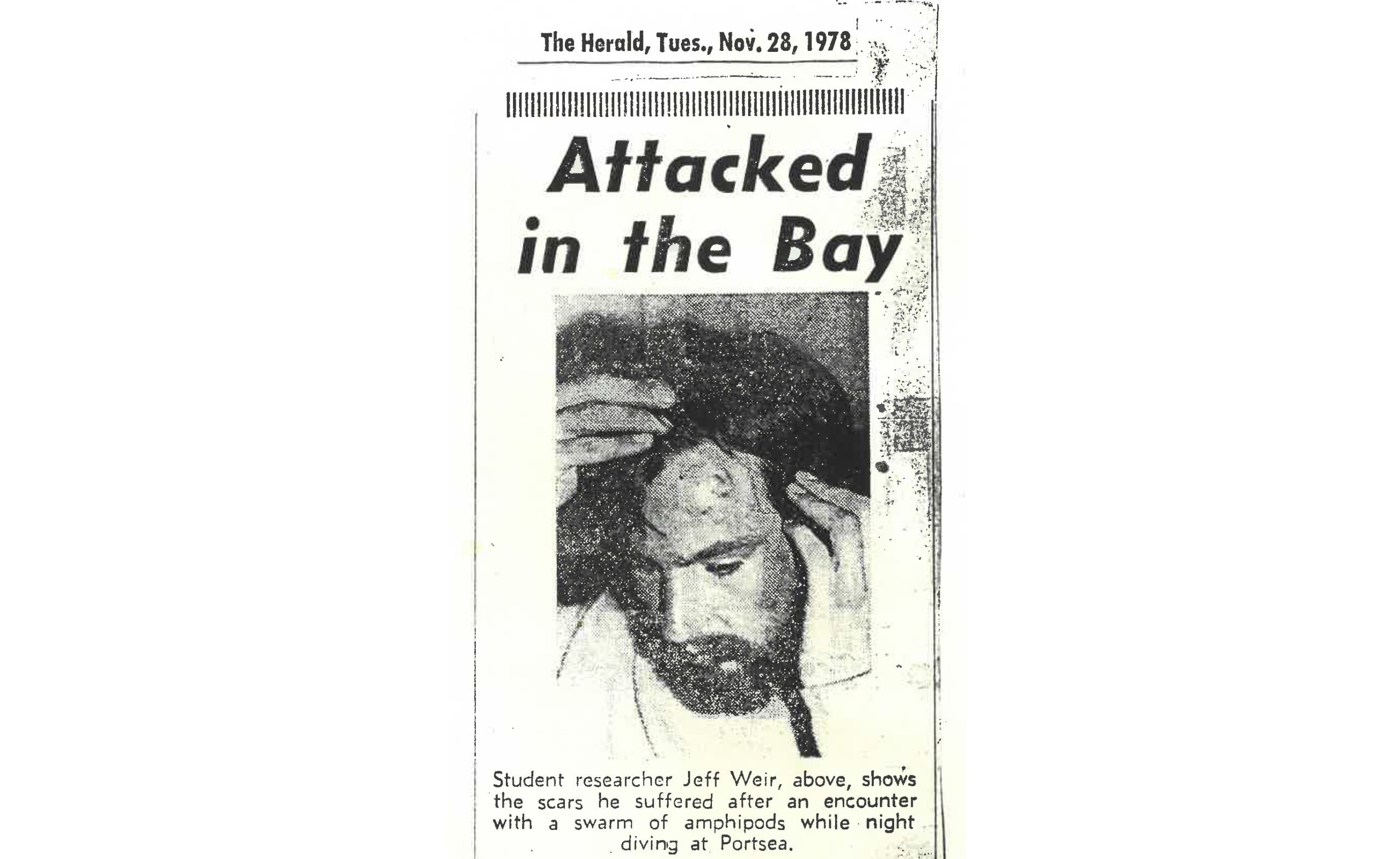 Attacked In the Bay 1978 – 2017