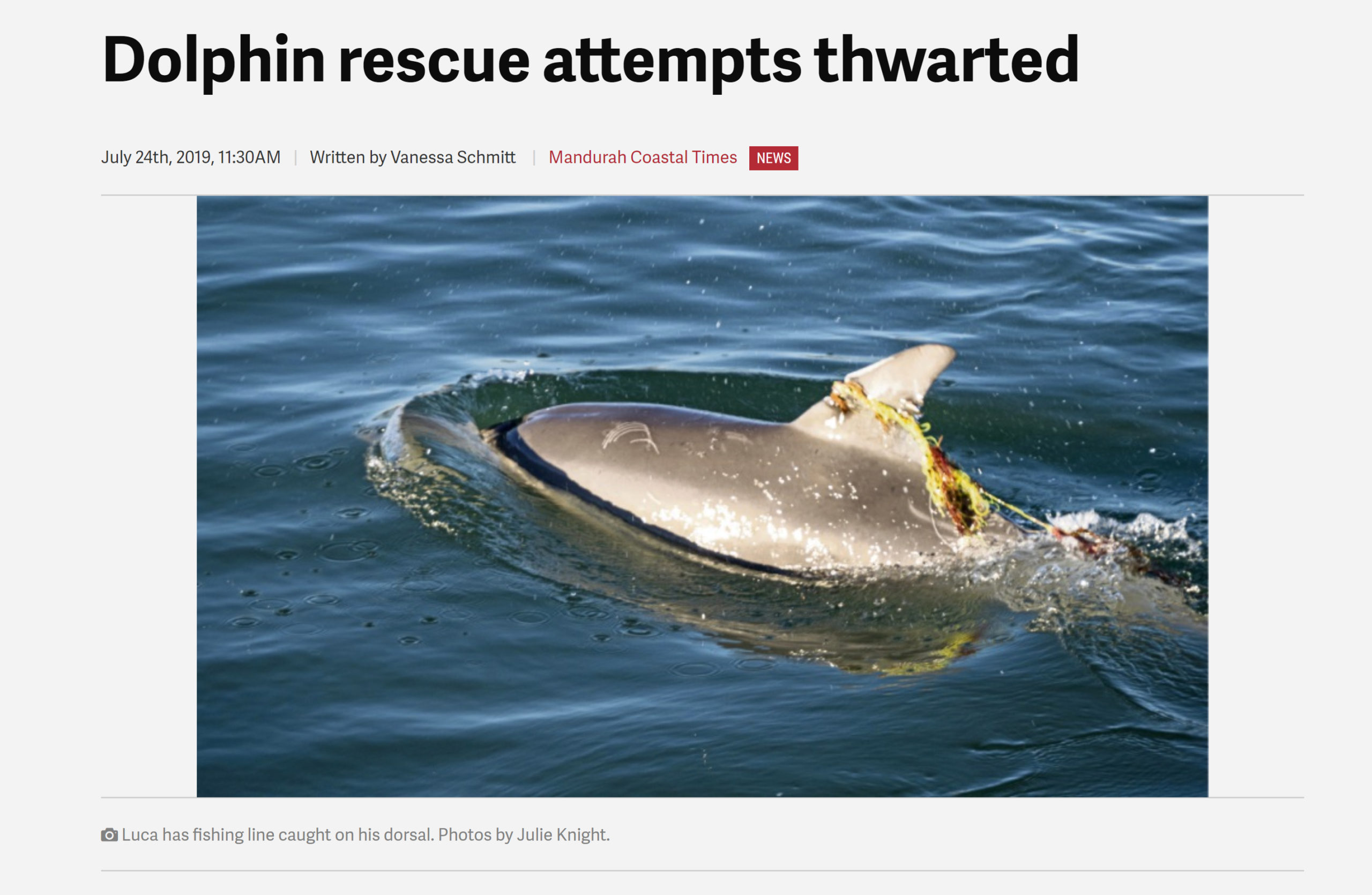 OUR THOUGHTS GO OUT FOR THE RESCUE OF  A DOLPHIN IN MANDURAH, WA.