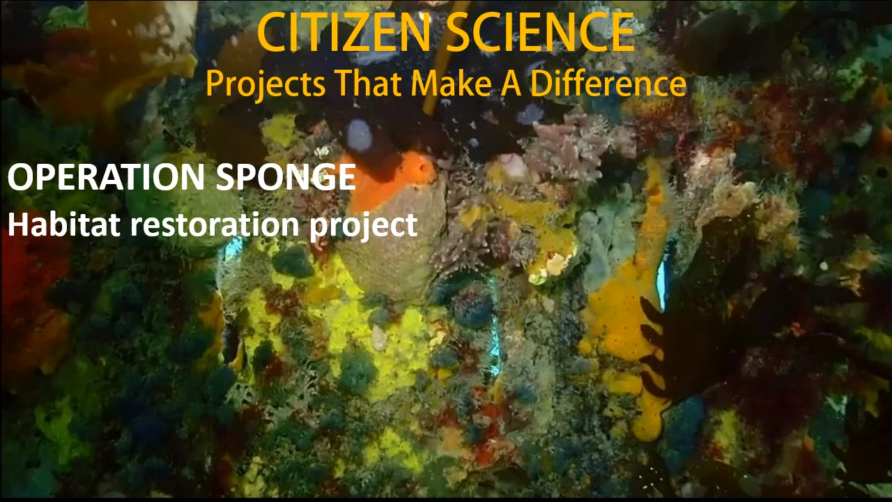Celebrating National Science Week with a Citizen Science project