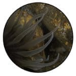 Anemone for Facebook