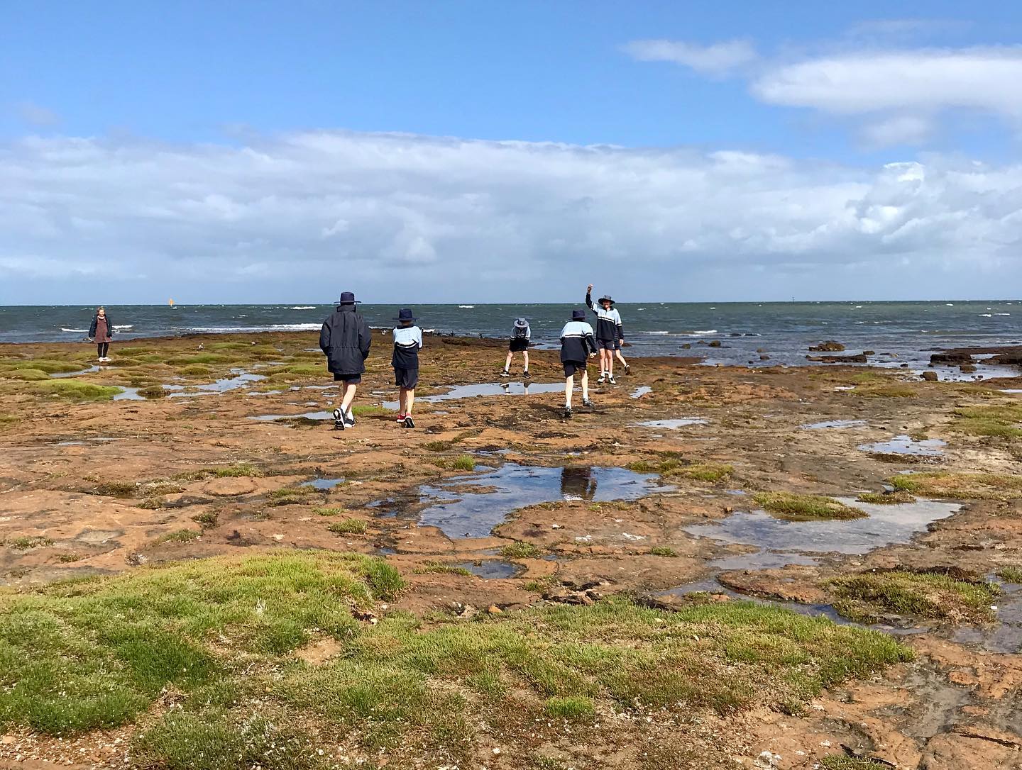 Explore Ricketts Point during Sea Week 2021!