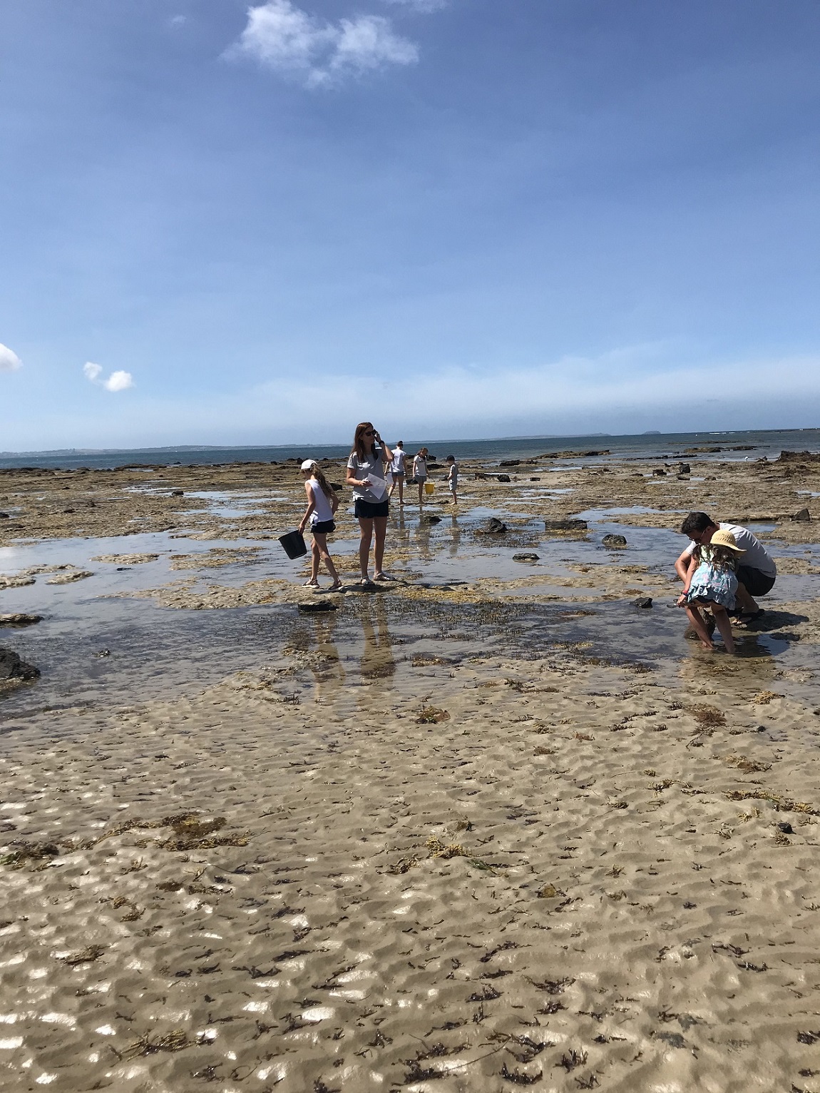 Explore Point Leo during Sea Week 2021!