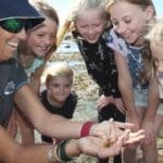 School Holiday Rock pool program