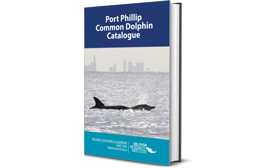 Port Phillip Common Dolphin Catalogue