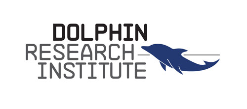 Dolphin Research