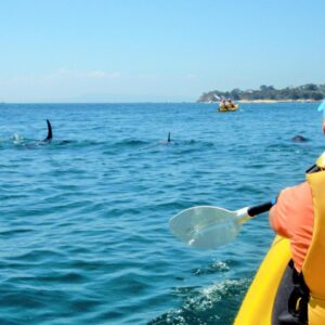 BAYPLAY ADVENTURE TOURS - VOUCHER VALUED AT $240.00