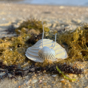MORNINGTON SEA GLASS - HAND CRAFTED PENDANT SET VALUED AT $150.00